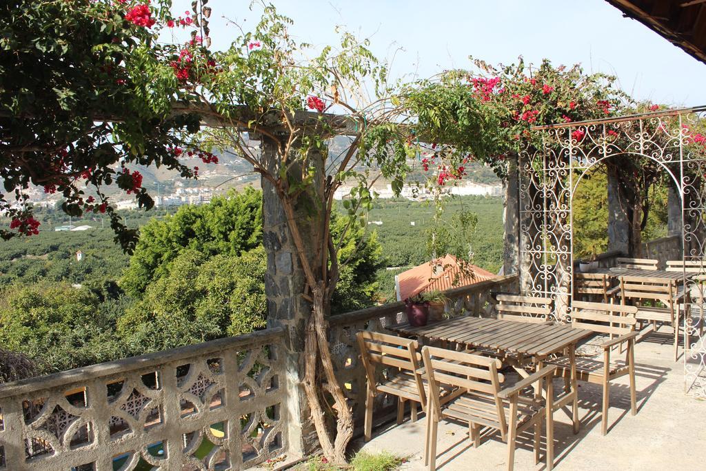 Camping Tropical Almuñécar Pokój zdjęcie